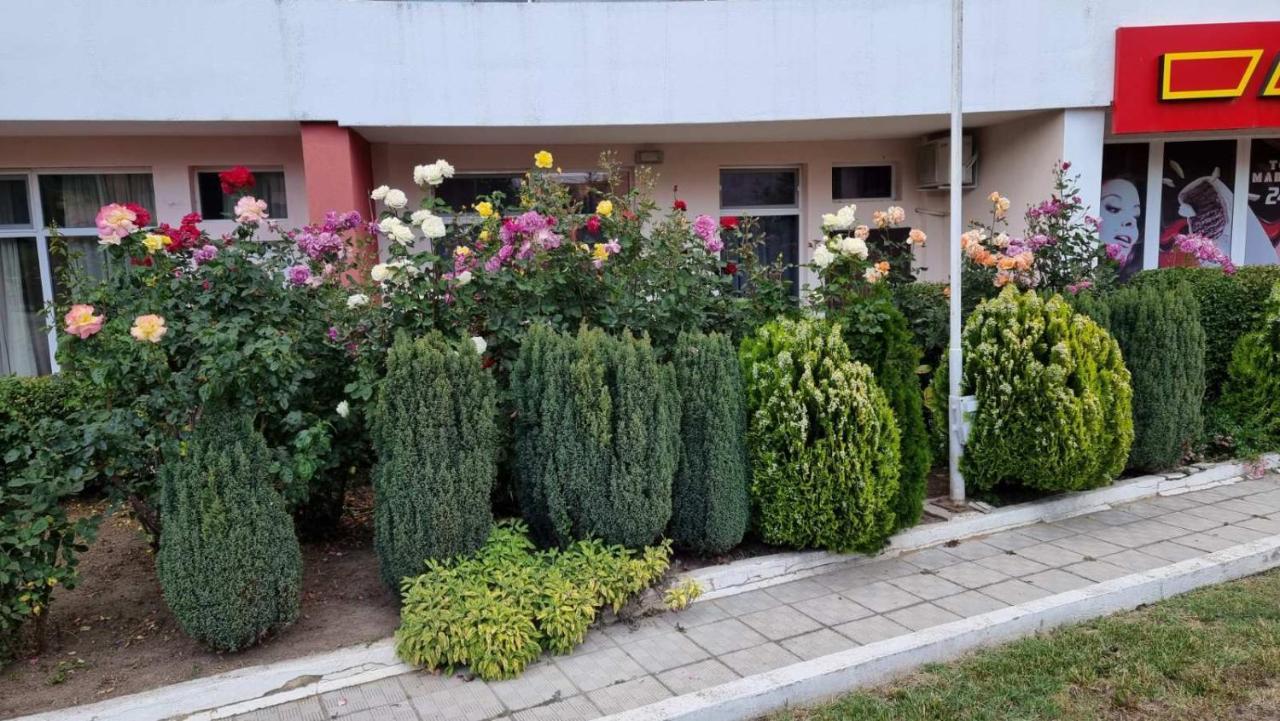 Бутикови Студиа Брита Kranewo Exterior foto